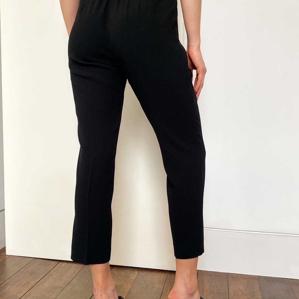 ARITZIA Babaton (Cohan) Flat Front Dress Pants